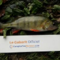 photo prise 6264 par Mr Perche 