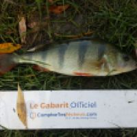 photo prise 6266 par Mr Perche 