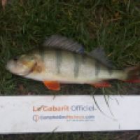 photo prise 6268 par Mr Perche 