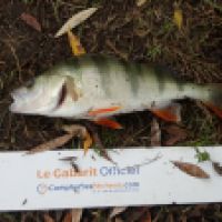 photo prise 6269 par Mr Perche 