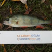 photo prise 6270 par Mr Perche 