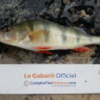 photo prise 6277 par Mr Perche 