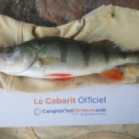 photo prise 6278 par Mr Perche 