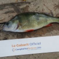 photo prise 6281 par Mr Perche 