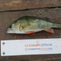 photo prise 6283 par Mr Perche 