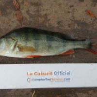 photo prise 6285 par Mr Perche 