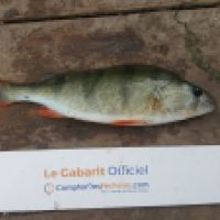 photo prise 6286 par Mr Perche 