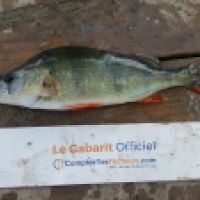 photo prise 6288 par Mr Perche 