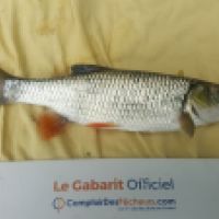 photo prise 6311 par Mr Perche 