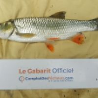photo prise 6312 par Mr Perche 