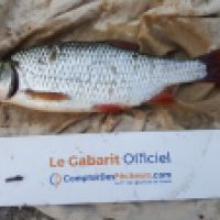 photo prise 6313 par Mr Perche 