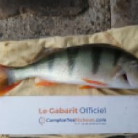 photo prise 6314 par Mr Perche 