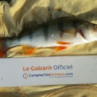 photo prise 6315 par Mr Perche 