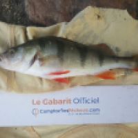 photo prise 6316 par Mr Perche 