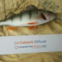 photo prise 6317 par Mr Perche 