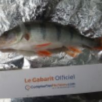photo prise 6318 par Mr Perche 