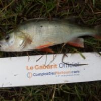 photo prise 6320 par Mr Perche 