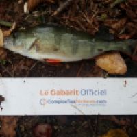 photo prise 6322 par Mr Perche 