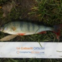 photo prise 6323 par Mr Perche 