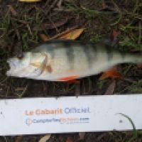 photo prise 6324 par Mr Perche 