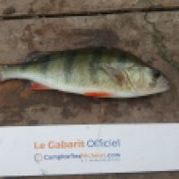 photo prise 6346 par Mr Perche 