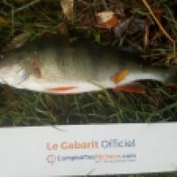 photo prise 6347 par Mr Perche 