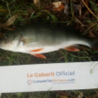 photo prise 6348 par Mr Perche 