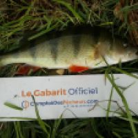 photo prise 6349 par Mr Perche 