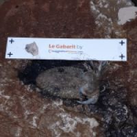 photo prise 6352 par Pierre Roux