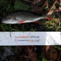 photo prise 6372 par Mr Perche 