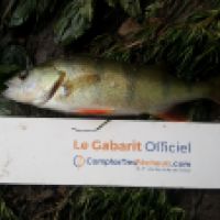 photo prise 6374 par Mr Perche 