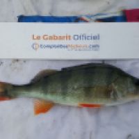 photo prise 6381 par Mr Perche 