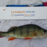 photo prise 6382 par Mr Perche 