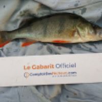 photo prise 6384 par Mr Perche 