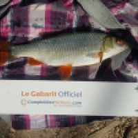 photo prise 6452 par Mr Perche 