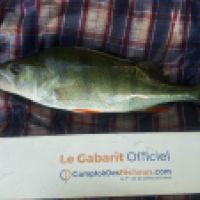 photo prise 6453 par Mr Perche 