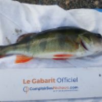 photo prise 6454 par Mr Perche 