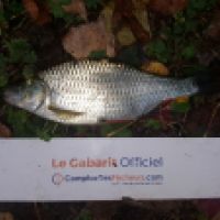 photo prise 6460 par Mr Perche 