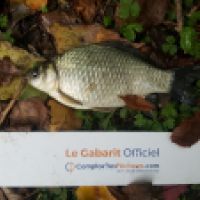 photo prise 6461 par Mr Perche 