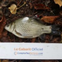 photo prise 6462 par Mr Perche 