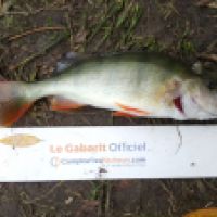 photo prise 6545 par Mr Perche 