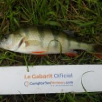 photo prise 6546 par Mr Perche 