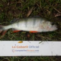 photo prise 6554 par Mr Perche 