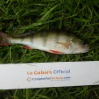 photo prise 6556 par Mr Perche 
