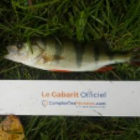 photo prise 6557 par Mr Perche 