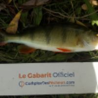 photo prise 6559 par Mr Perche 