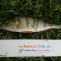 photo prise 6561 par Mr Perche 