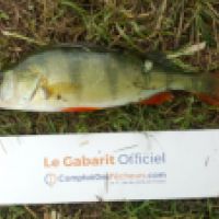 photo prise 6563 par Mr Perche 