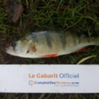 photo prise 6564 par Mr Perche 