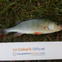 photo prise 6566 par Mr Perche 
